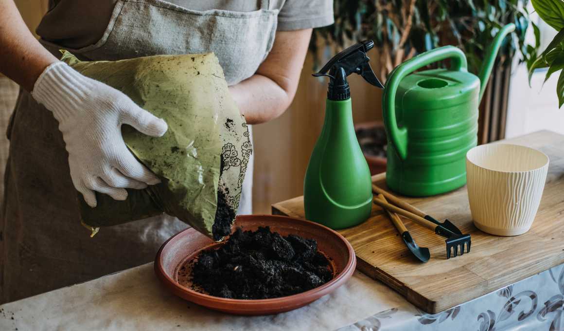 10+ Best Microgreens to Grow Indoors!